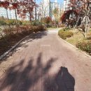 관저 더샵(109동) 이미지