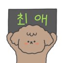 코호풀빌라 이미지