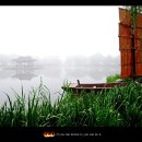 여자중계소 이미지