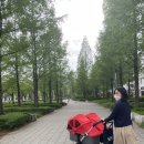 동키 | 신생아부터 36개월까지 사용한 부가부 동키 후기｜쌍둥이 육아 최고의 유모차