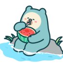 정릉86 이미지