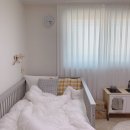 스텔라홈 이미지