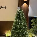 전주 가맥 끝판왕 발견 만성동 전일맥주 솔직 후기