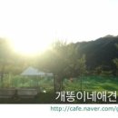 개똥이네캠핑장 네이버블로그