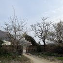 죽연마을회관 앞 이미지