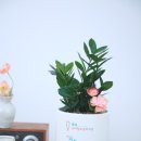 인덕원뚝딱소아청소년과의원 이미지