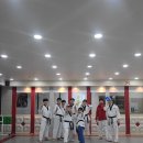 경희대 창덕 태권도 이미지