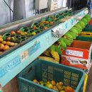 조율농장 이미지