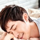 도그앤스토리 이미지