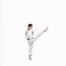 경희대 현대 태권도 이미지