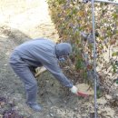 산청스토아 이미지