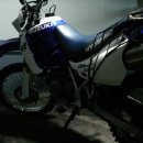 diesel 자기소개요~~!!! 이미지