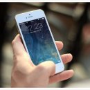 서강대학교 경영전문대학원 이미지