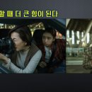 시민사 티스토리