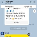 승일목장 | 제주도 아이 반려견 애견동반여행 팁 대한항공 정보