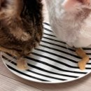 영양-9)영양군 서부리 15-1 | 미야옹철 닥터펠리스 고양이영양보조제 퍼펙트 치킨&amp;연어맛 성분과 기호성 후기