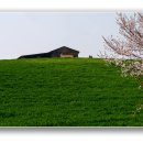 인심이네 이미지