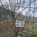 요룡농장 네이버블로그