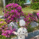 경산시립도서관 | 경산시립도서관 어린이도서관 유아자료실