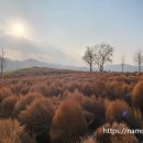 연천삼곶리돌무지무덤 | 경기도 연천 '임진강 댑싸리 공원'과 '삼곶리 돌무지무덤'