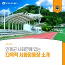 서화생활체육공원 운동장 이미지