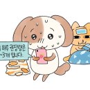 묘냥묘냥 Daum카페