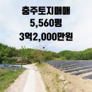 충원대로 이미지