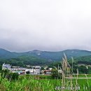 상의길 Daum카페