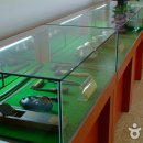 대전 3.1의거 기념관 이미지