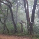 대전둘레산길(2구간) | (25.10.4.) 대전 둘레산길 1~2구간 / 보문산~식장산 걷기