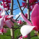 길목가든 이미지