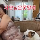 위조 지폐 이미지