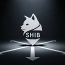 하나이누 이미지