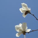 부천체육관 이미지