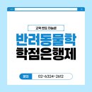 [학점은행제] 태권도연구방법 | 학점은행제 반려동물학과, 직장 다니면서 전공까지 준비한 후기