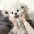 바닷가 사진관 이미지