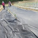 신형농장 이미지