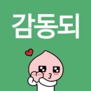 까치네곱창전골 | 240704-240731