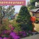 하로홈즈 이미지