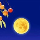 행정사 양승인 사무소 이미지