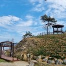 신동습지 이미지