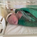 유나산부인과의원 | [더네이처산부인과 자연분만 출산후기] 반가워 또또야