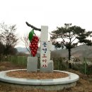 문경의봄봄 네이버블로그