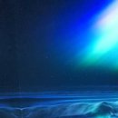 조수목장 이미지