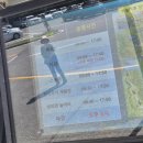 푸른하늘 목장 | 평창 대관령 하늘목장 아이와 이용팁