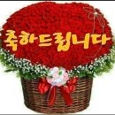 건강쌍화차