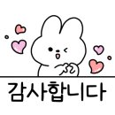 smile애견미용 이미지