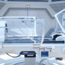 자유-희망 이미지