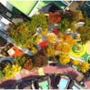 목련어린이공원 이미지