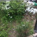 (주)지에스리테일 - 의왕시 | (주)지에스리테일